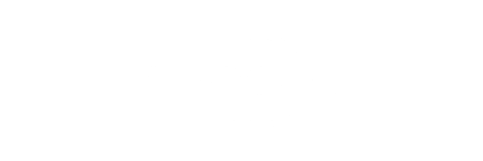 PapayaPOS